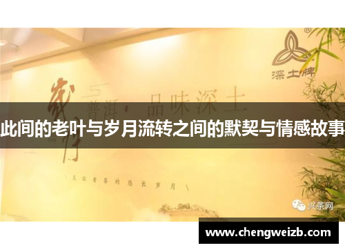 此间的老叶与岁月流转之间的默契与情感故事